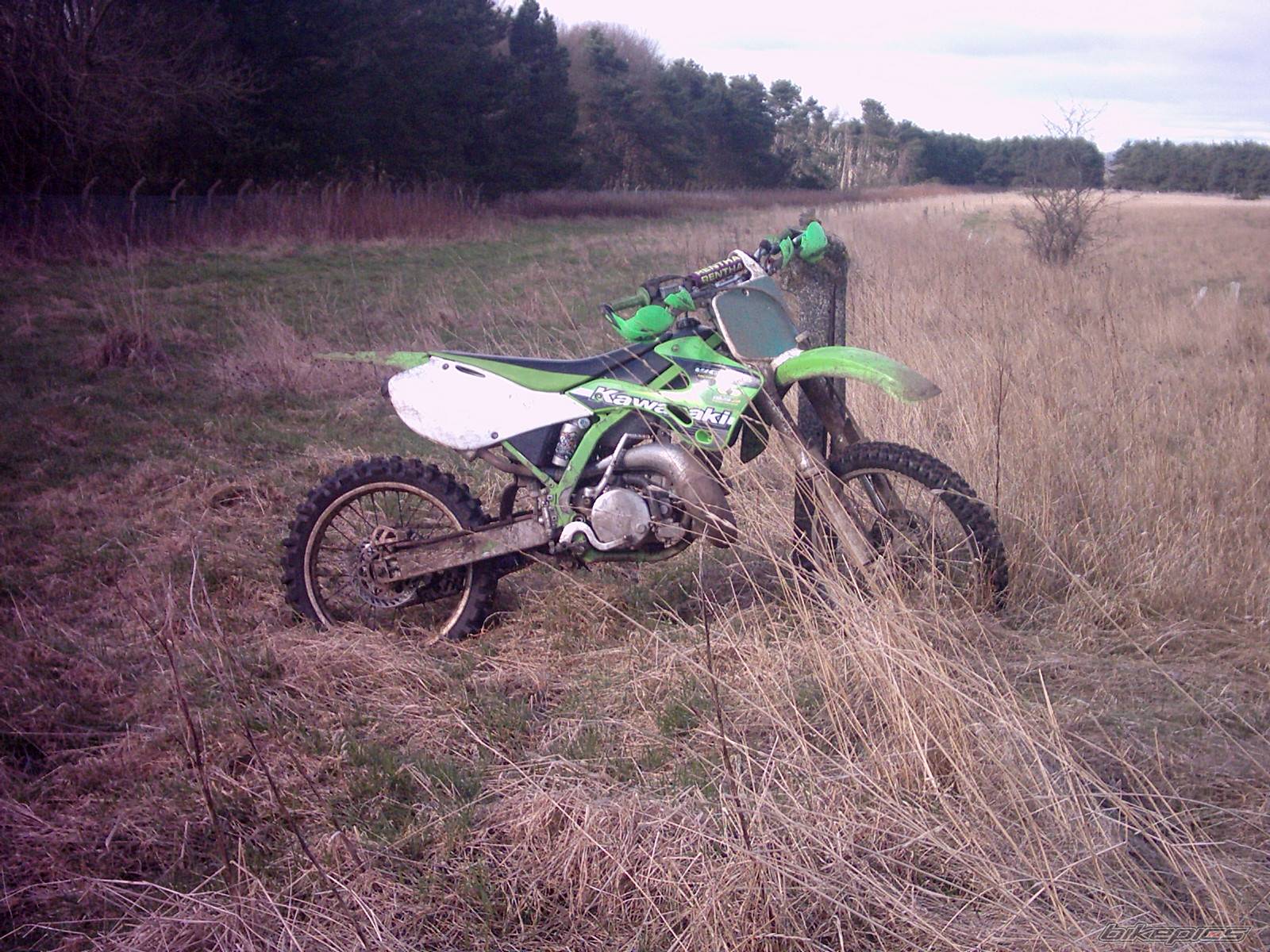 Photo 298842