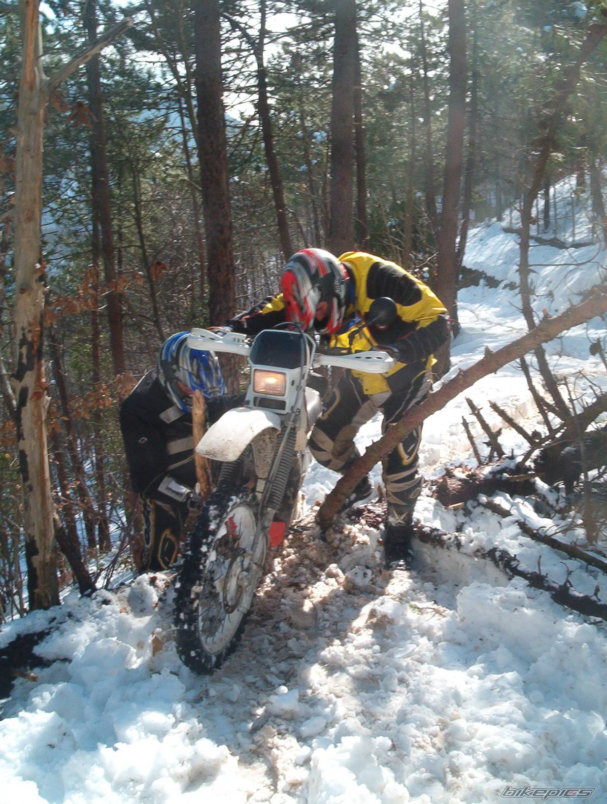 Bike Photo 298846