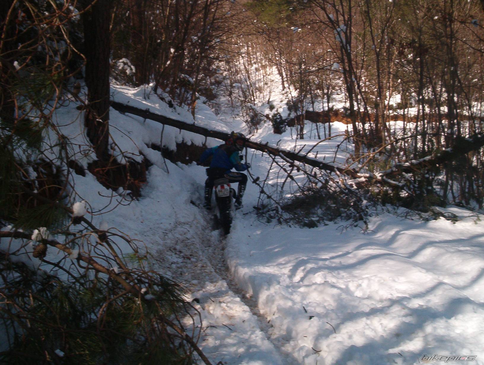 Bike Photo 298853