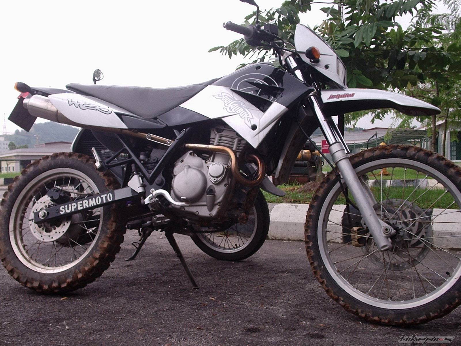 Photo 298875