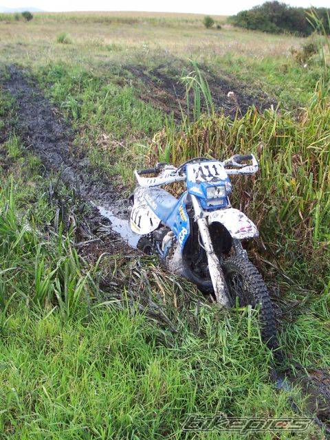 Photo 298902