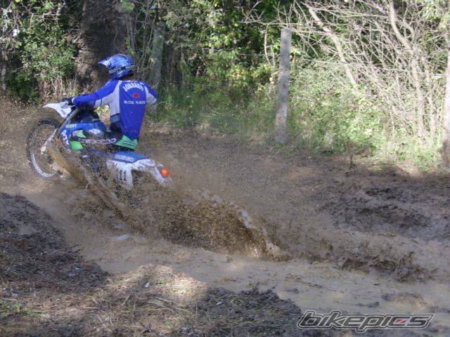 Photo 298916