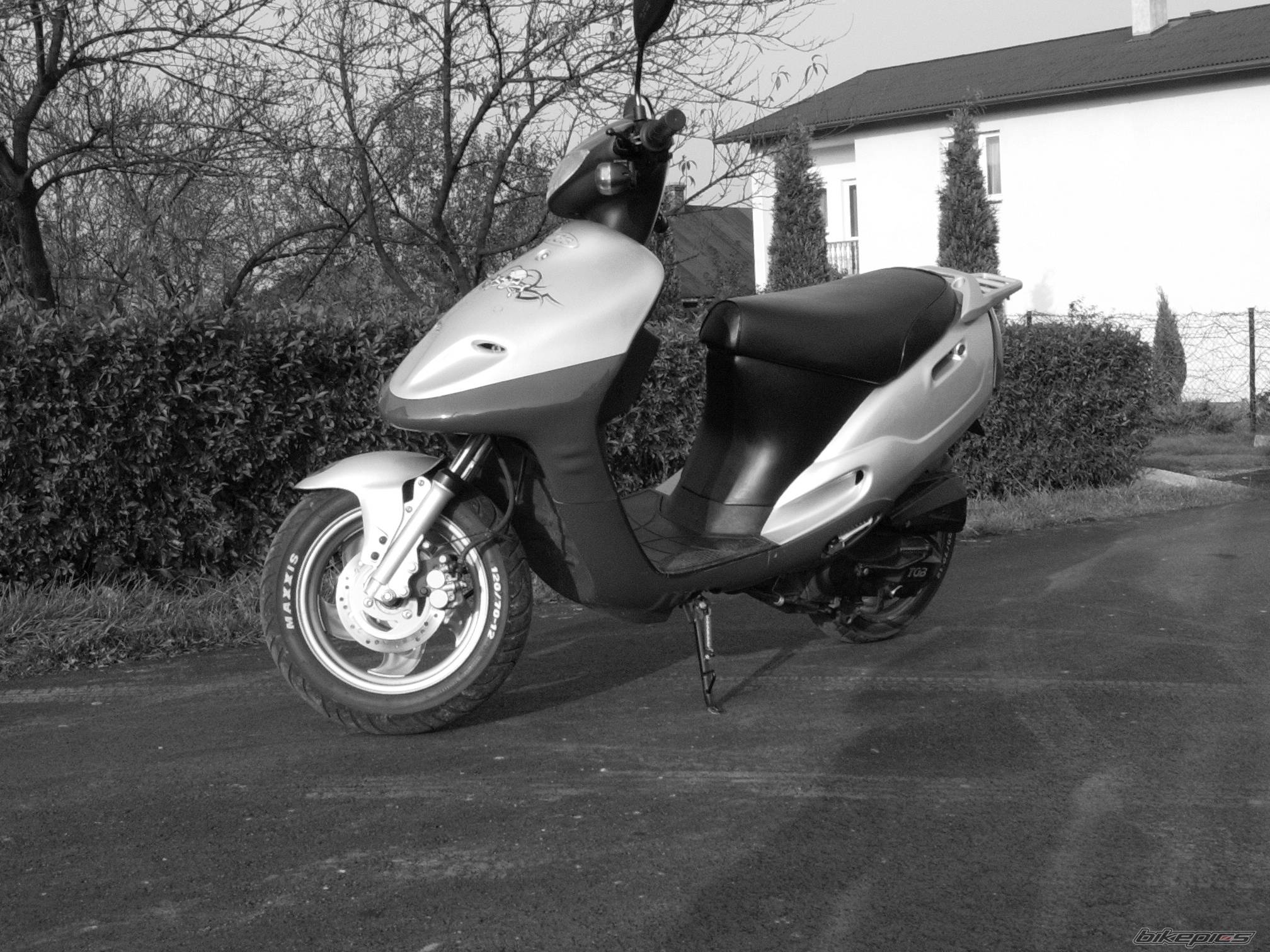 Photo 299078