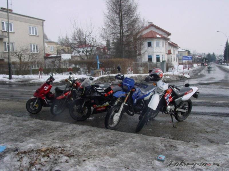 Photo 299131