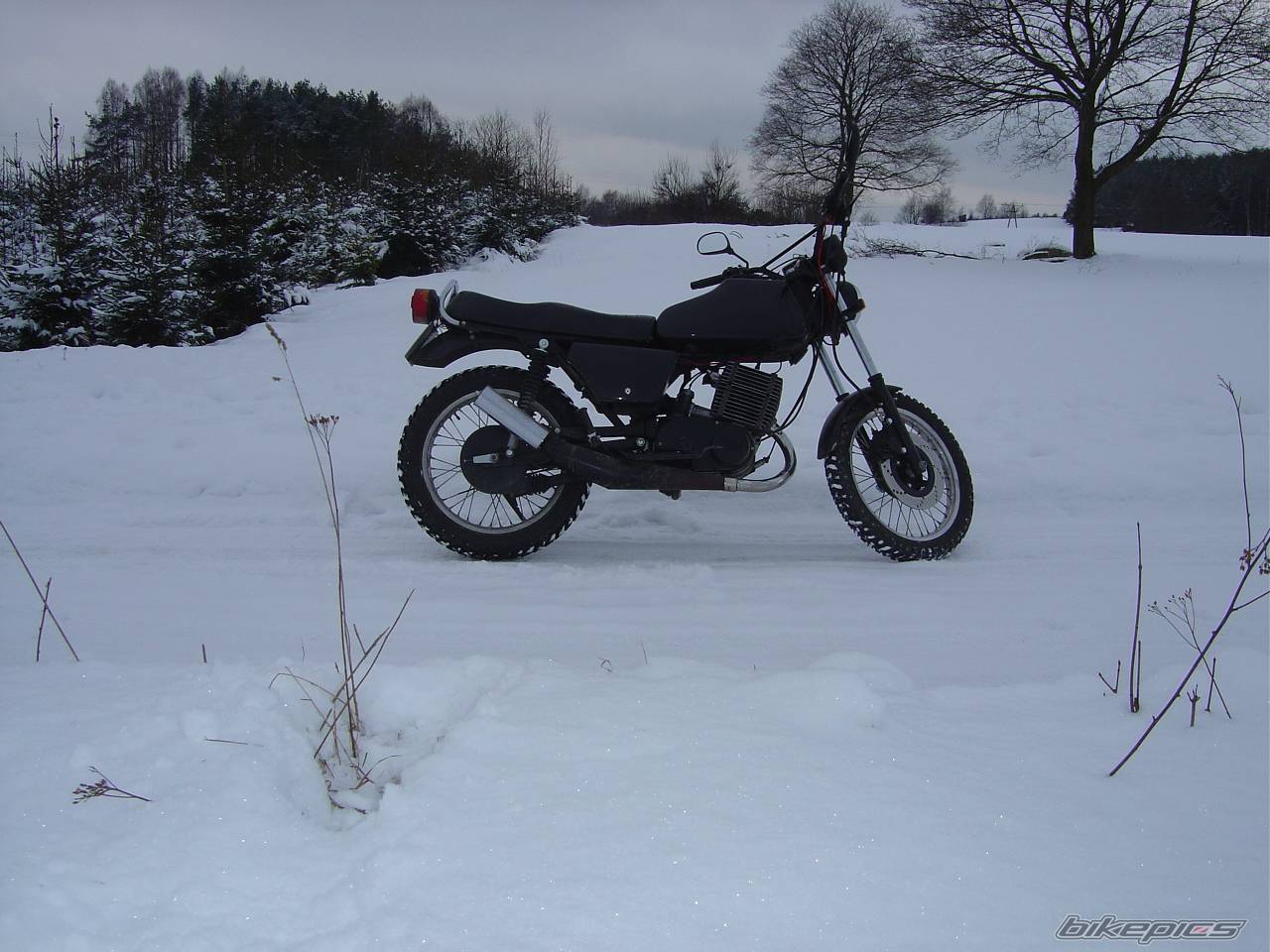 Photo 299156