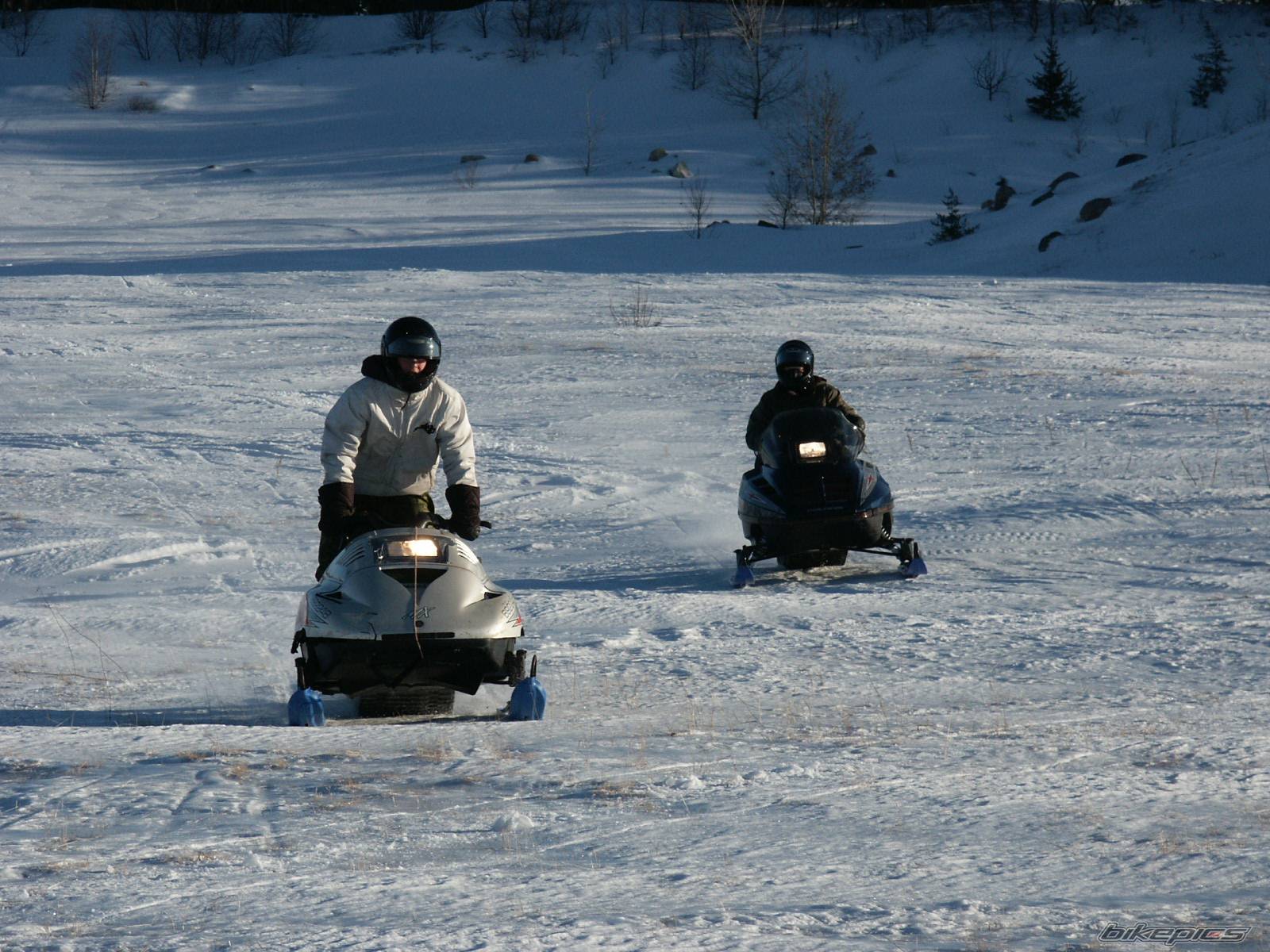 Photo 299287