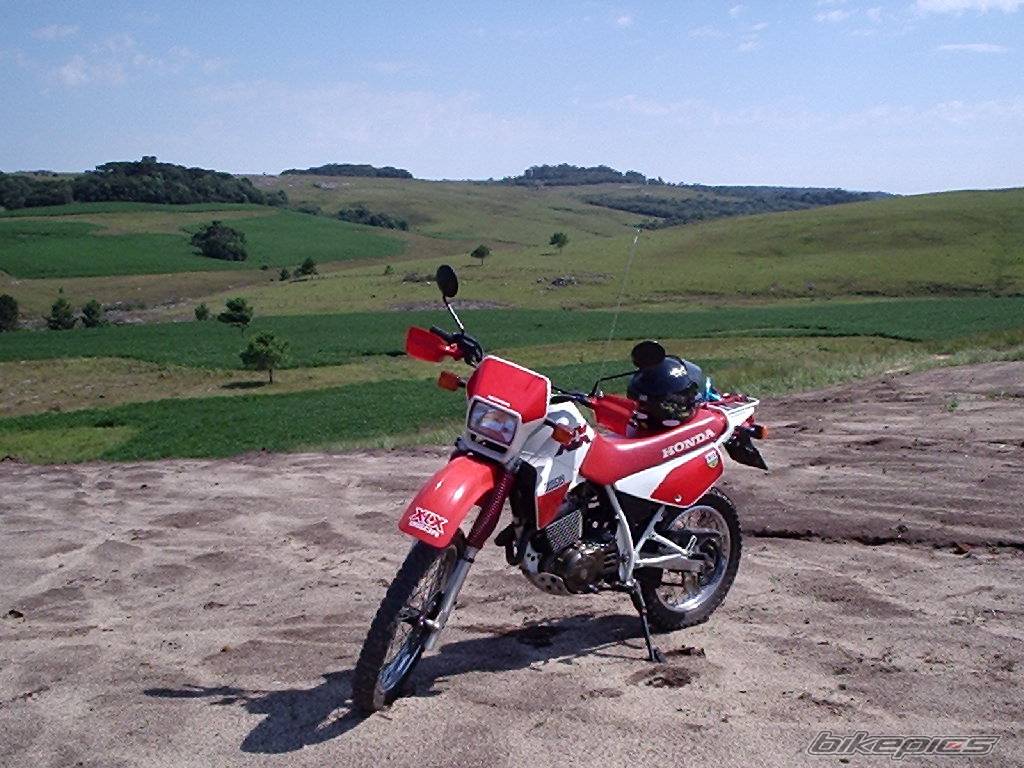 Bike Photo 299291