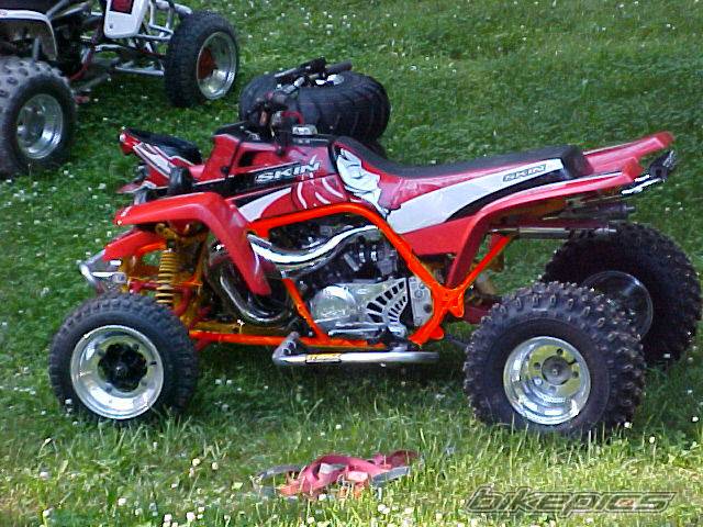 Photo 299307