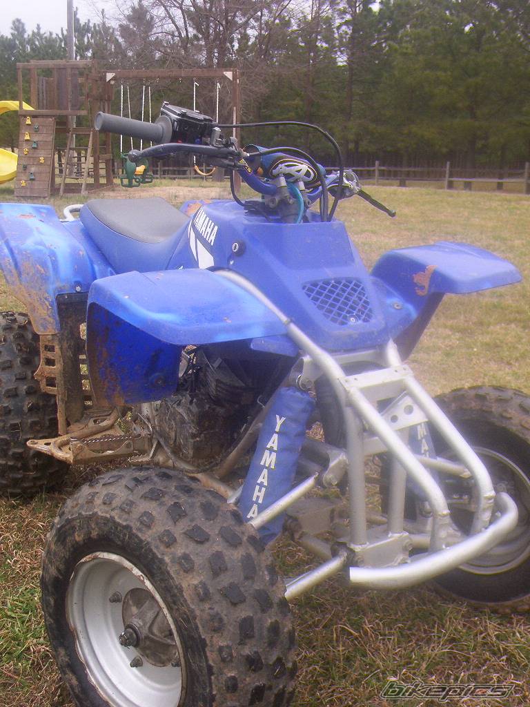 Photo 299311