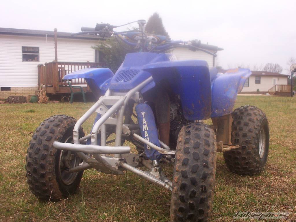 Photo 299315