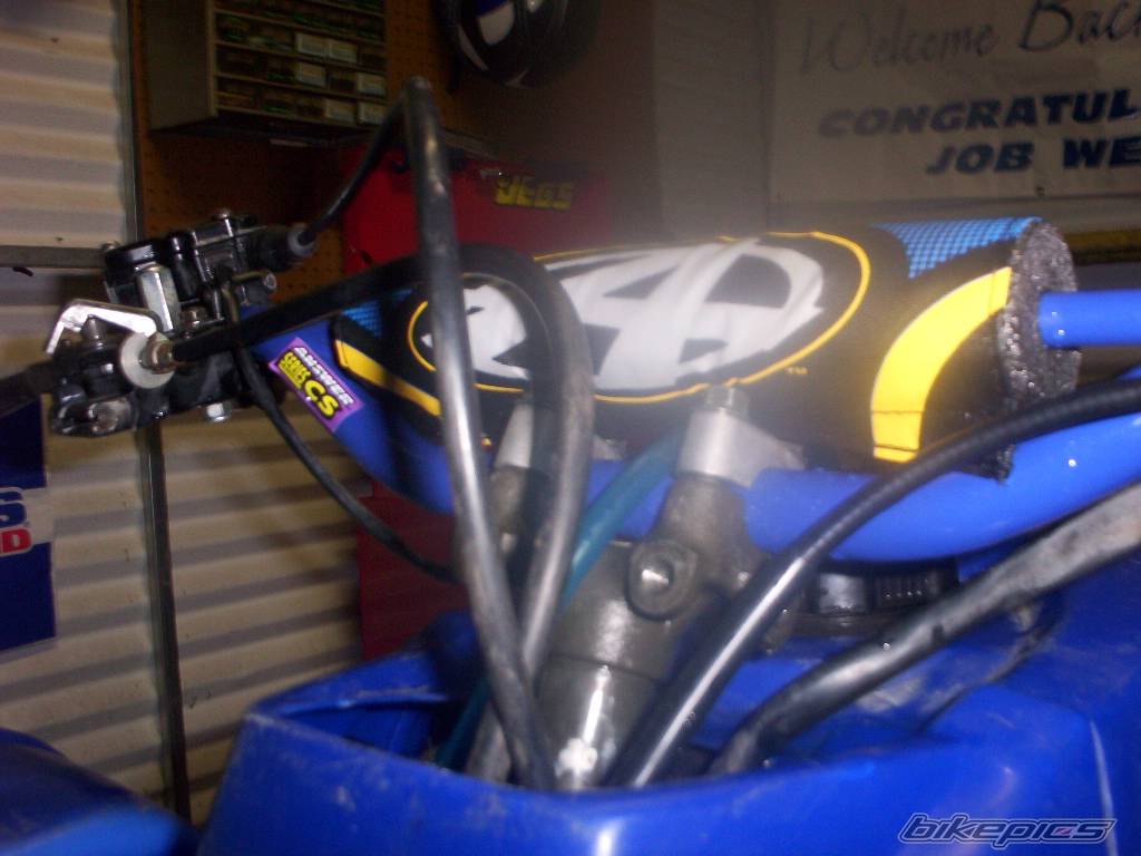 Photo 299316