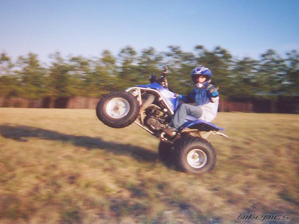 Photo 299322