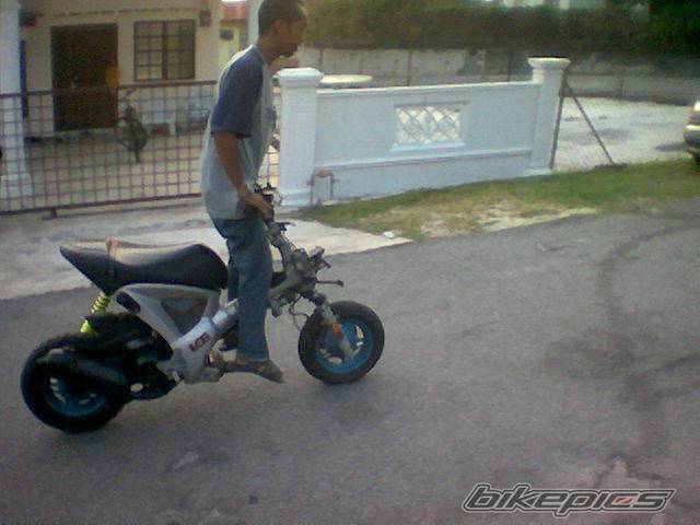 Photo 299339