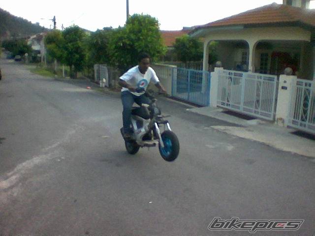 Photo 299340