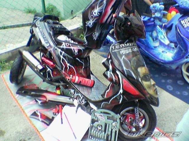 Photo 299345