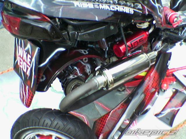 Photo 299346