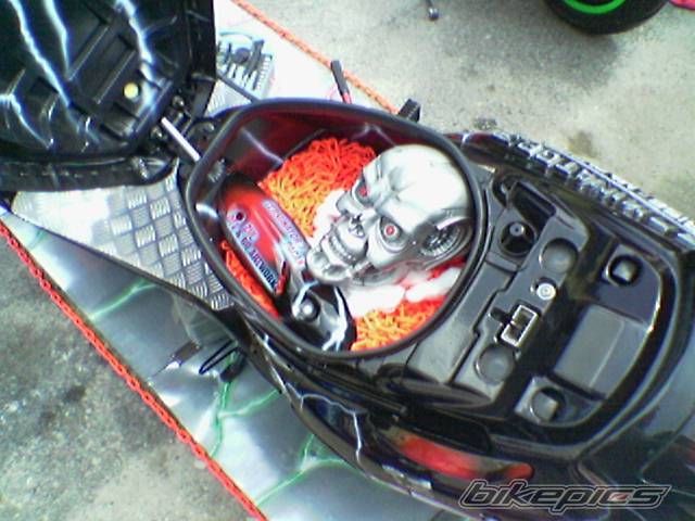 Photo 299347