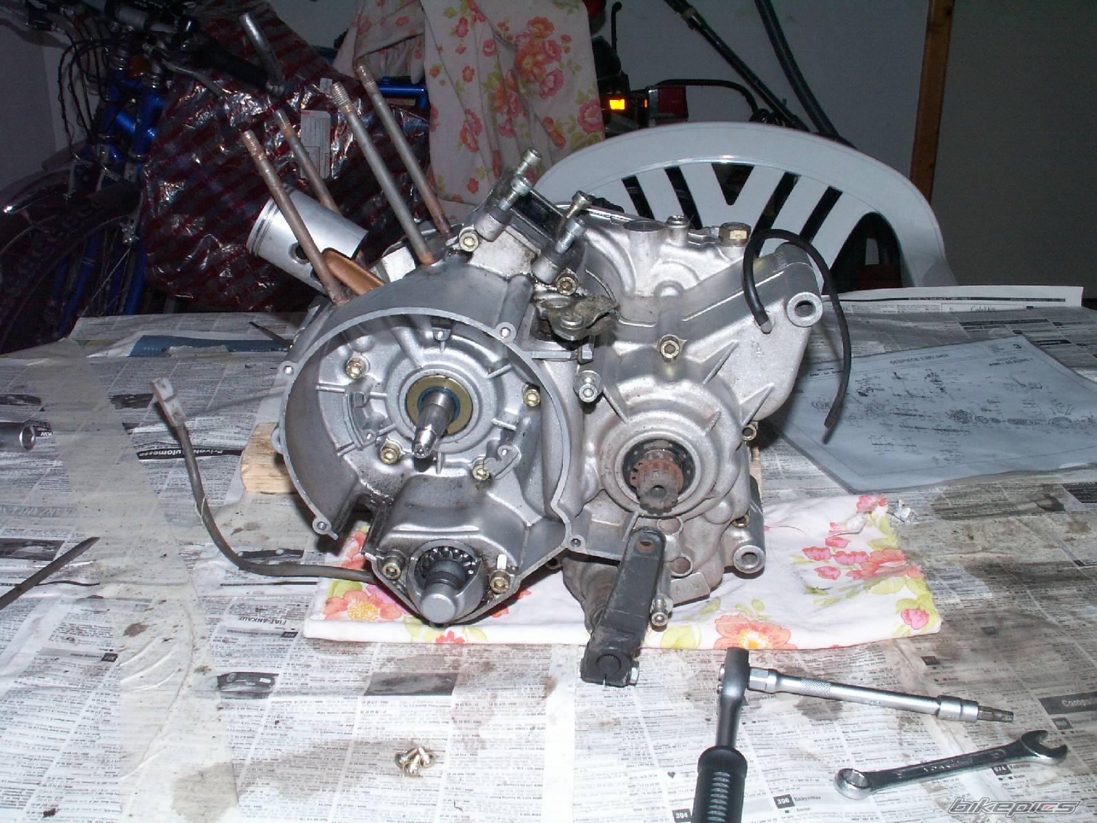 Photo 299363