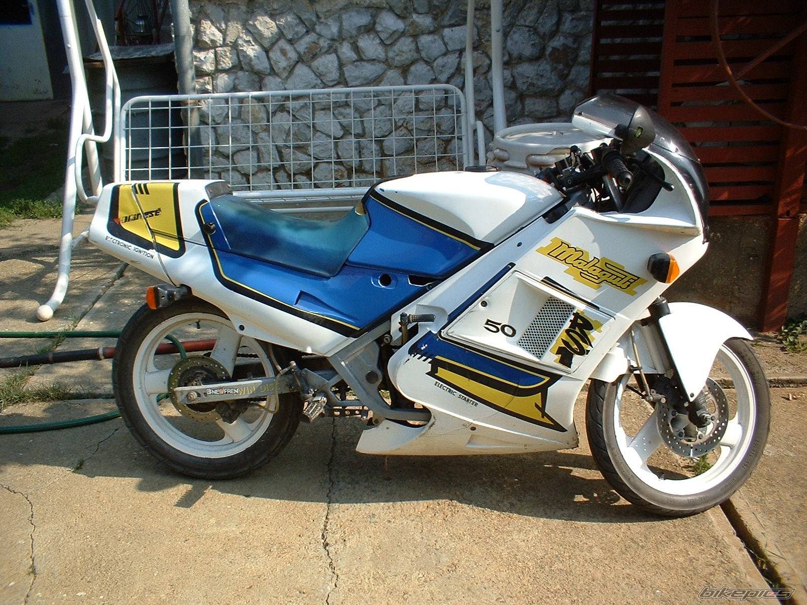 Photo 299379