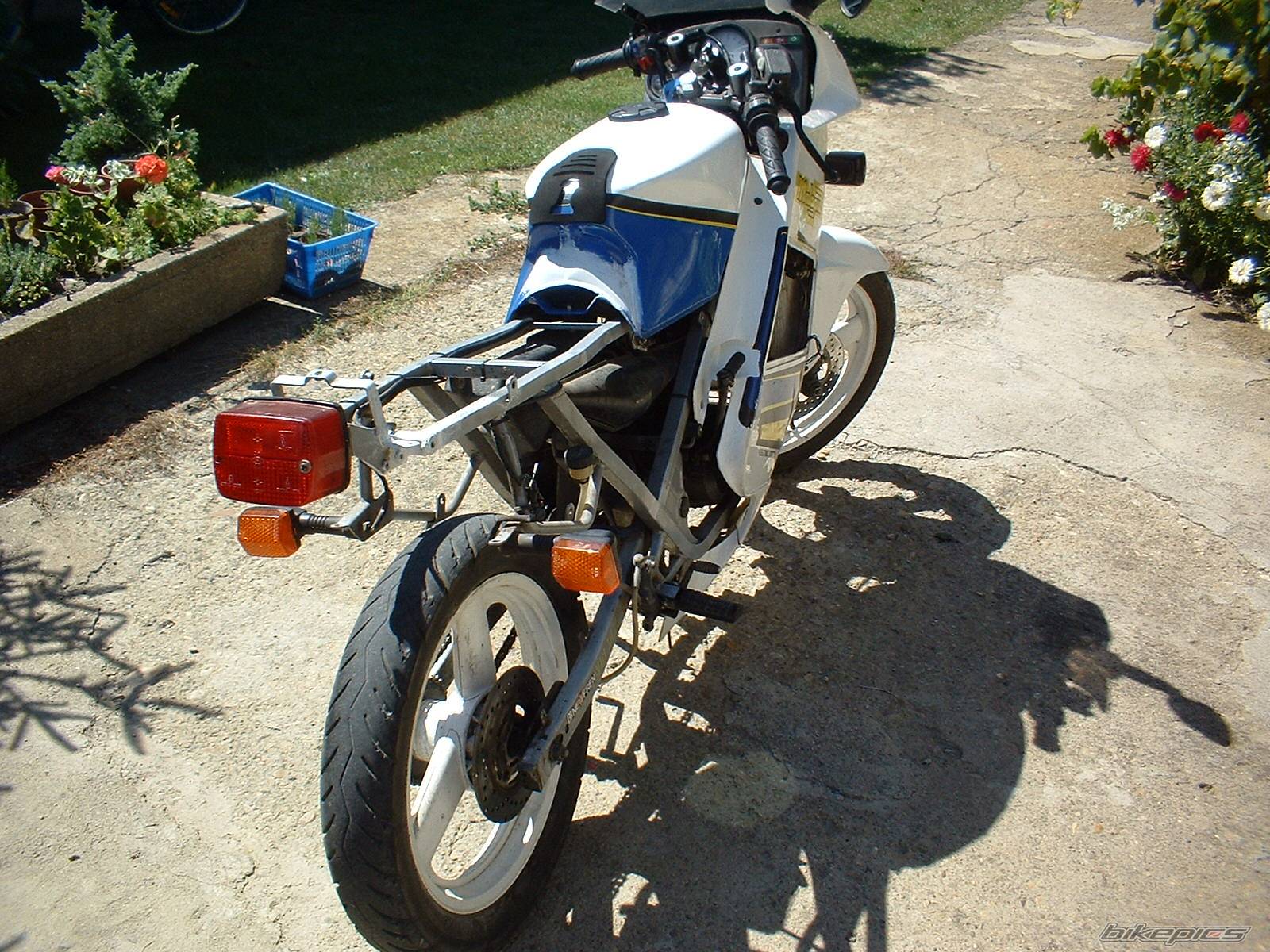Photo 299390