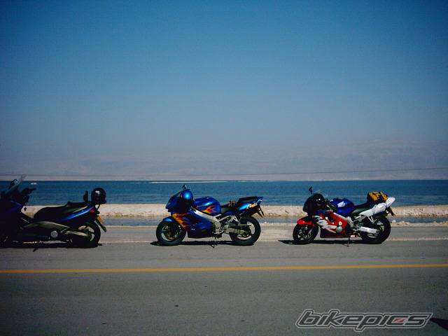 Photo 299416