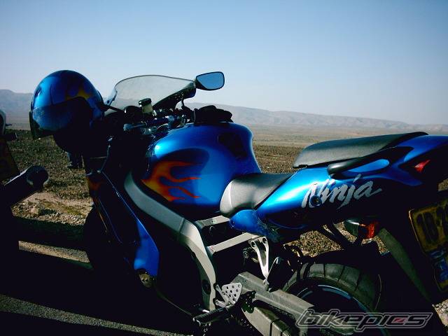 Photo 299420