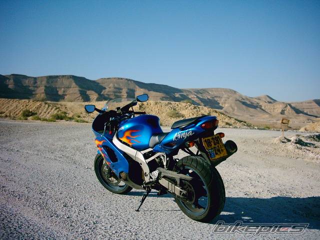 Photo 299421