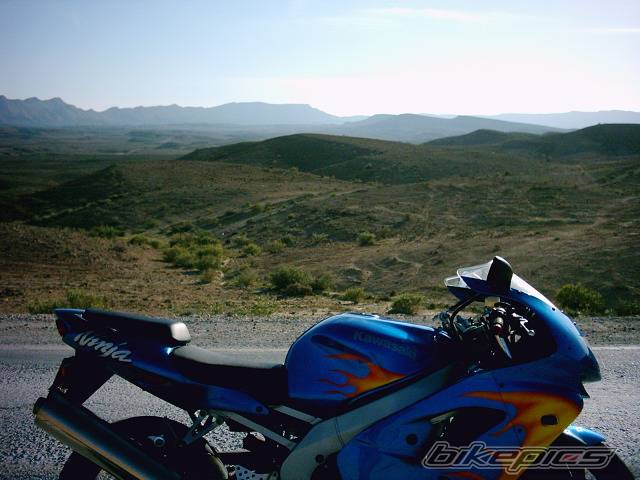 Photo 299422