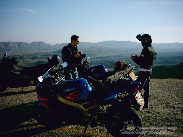 Photo 299423