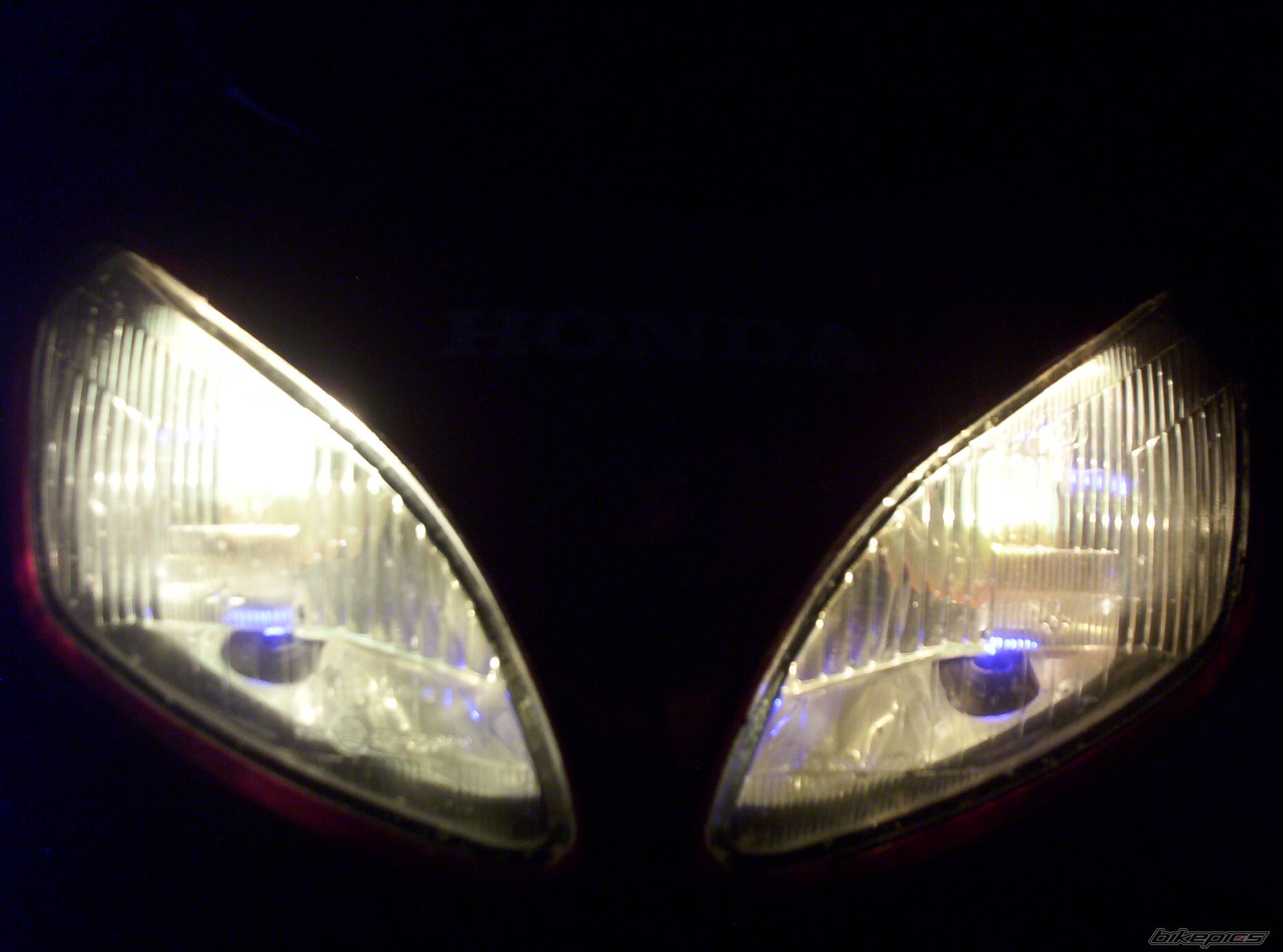 Photo 299429