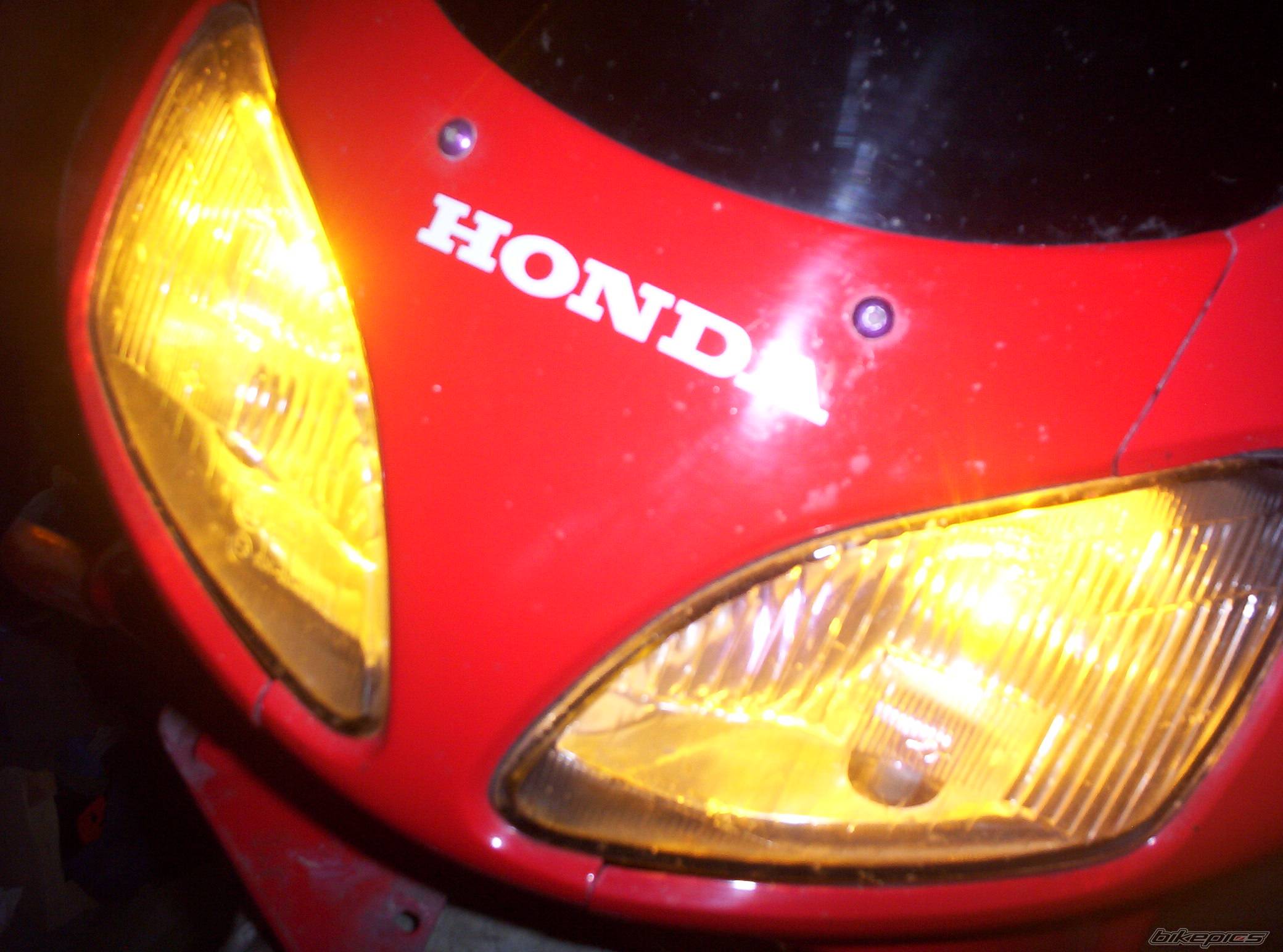 Photo 299430