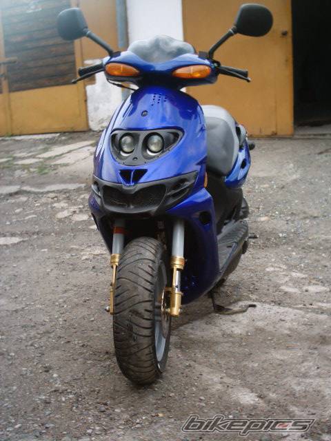 Photo 299454