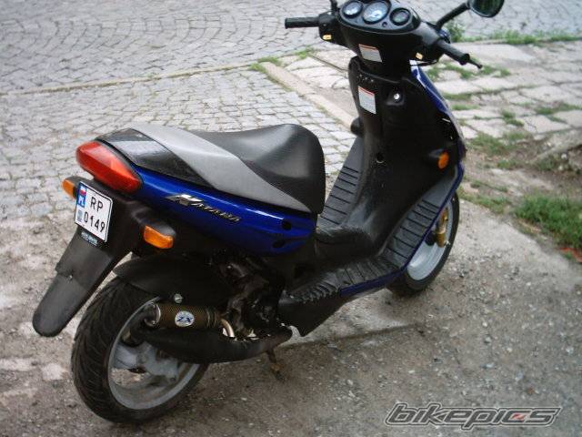 Photo 299455