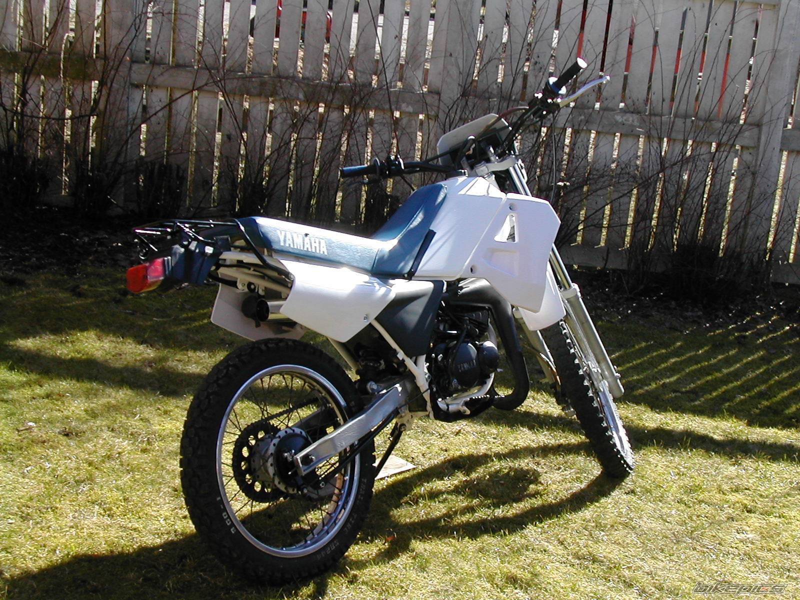 Photo 299458