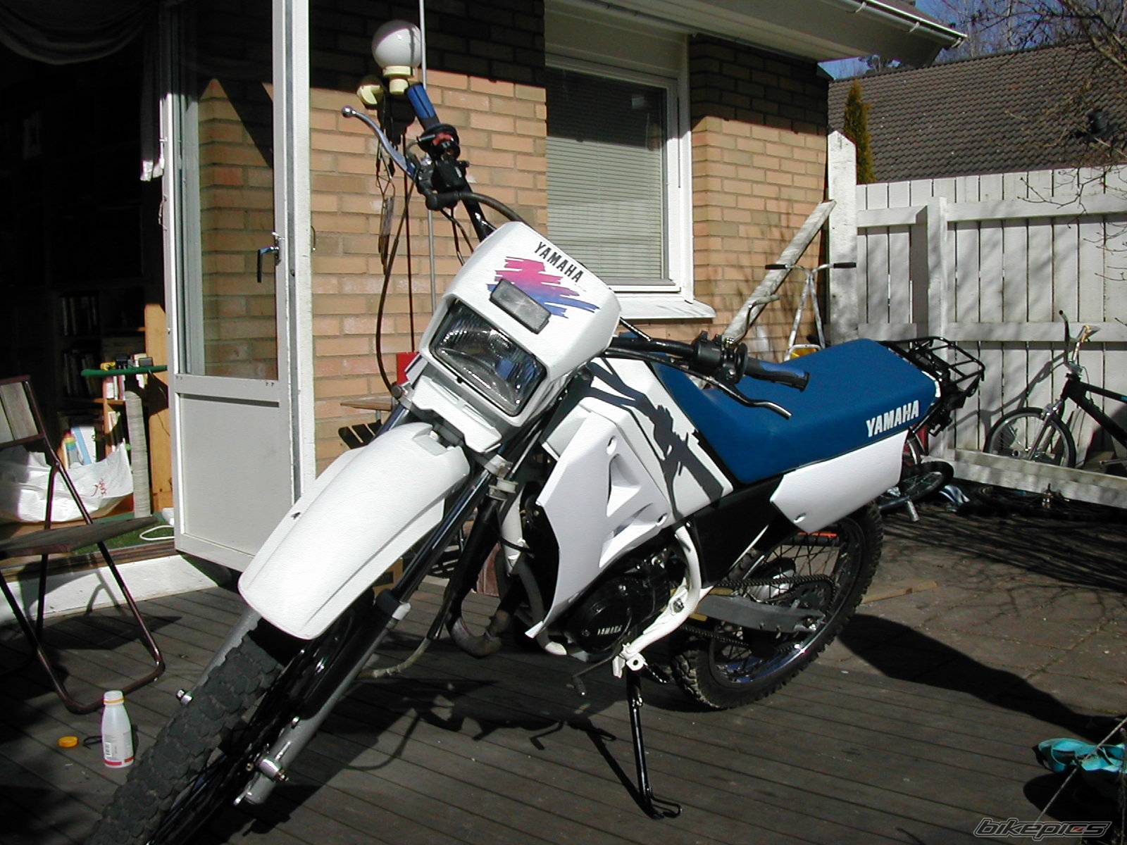 Photo 299459