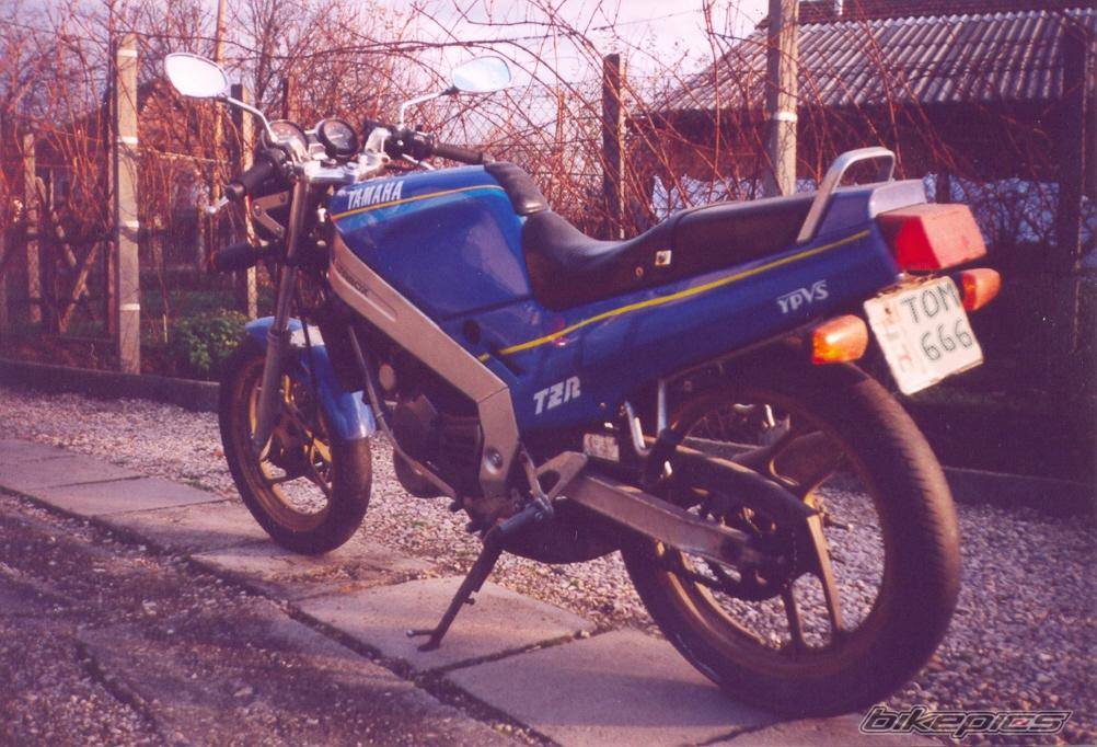 Photo 299471