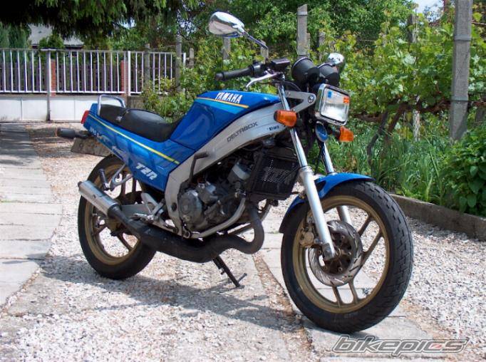 Bike Photo 299472