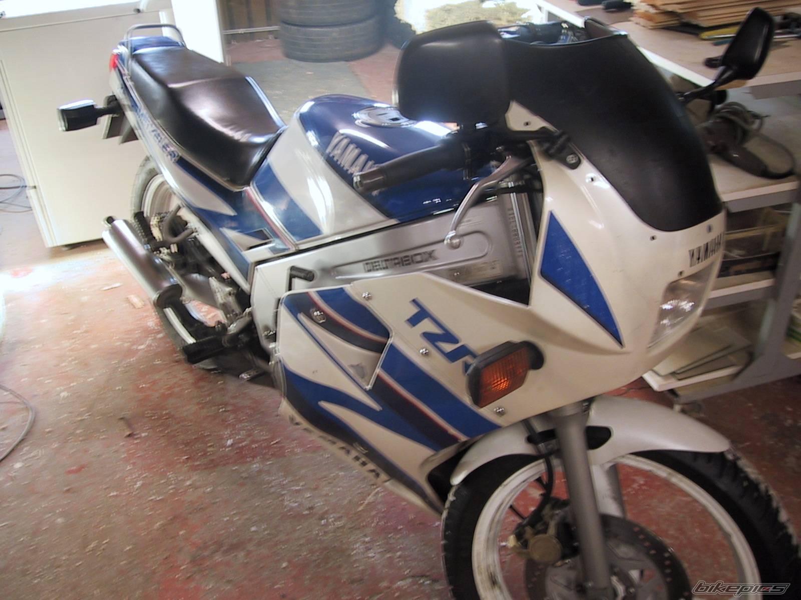Photo 299478