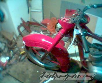 Photo 299506
