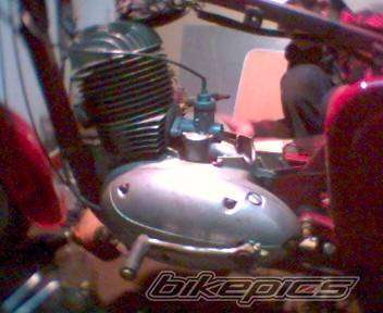 Photo 299507
