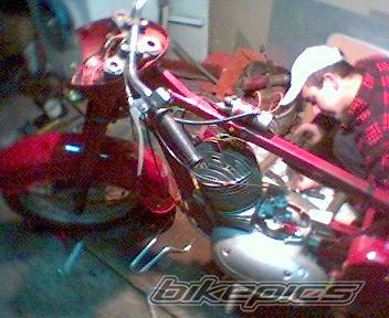 Photo 299511