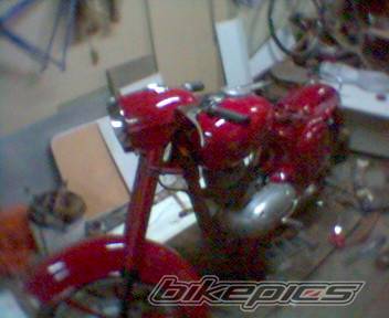 Photo 299512