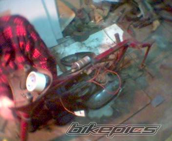 Photo 299527