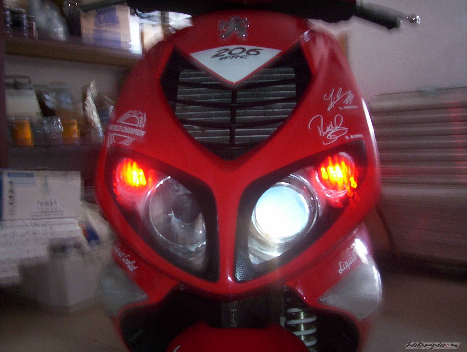 Photo 299545