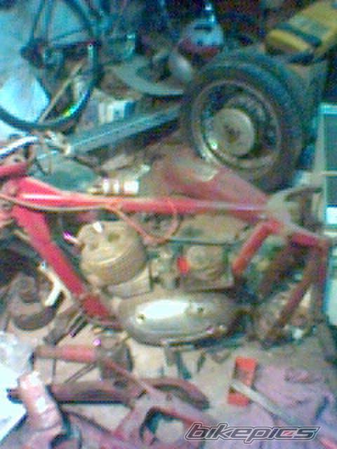 Bike Photo 299584