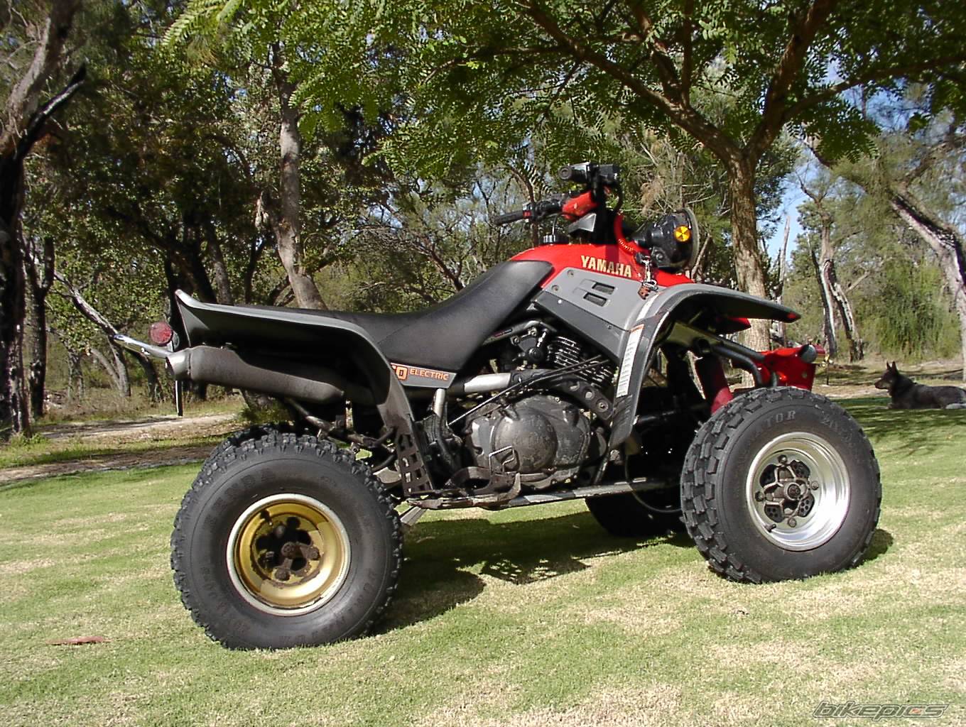 Bike Photo 29959