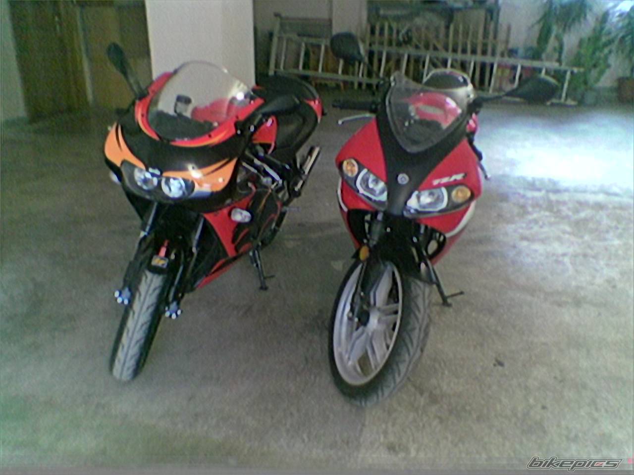 Photo 299757