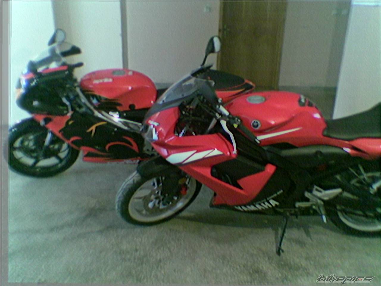 Photo 299759