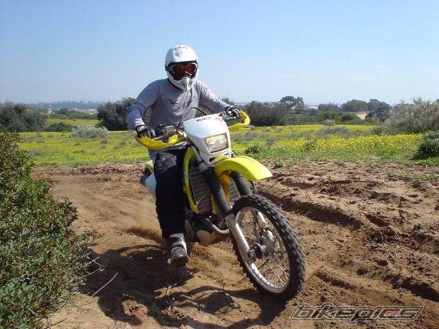 Photo 299762