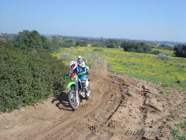 Photo 299763